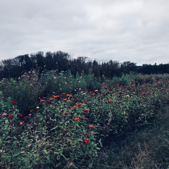 molly_545
